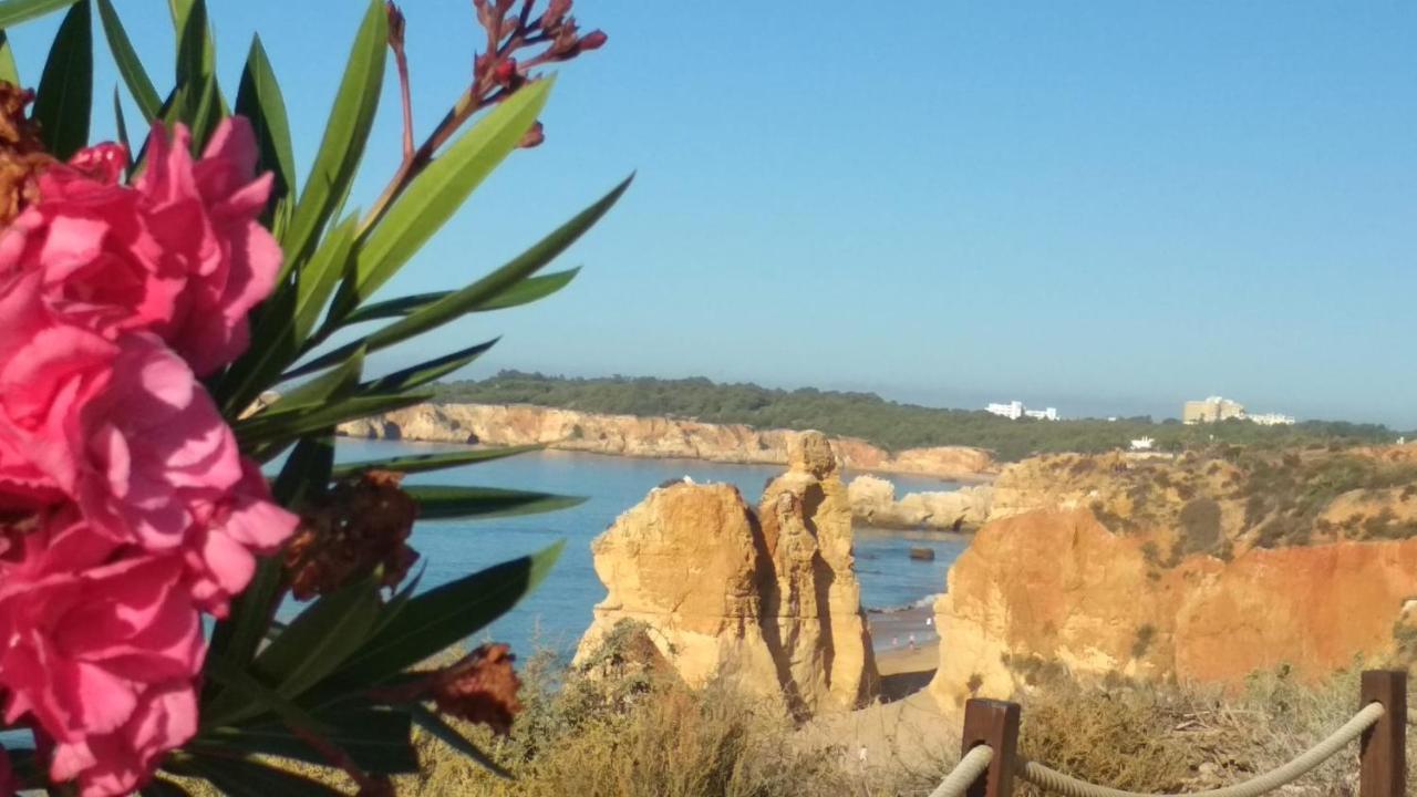 Albur Village B - Gerbera Alvor Exterior photo